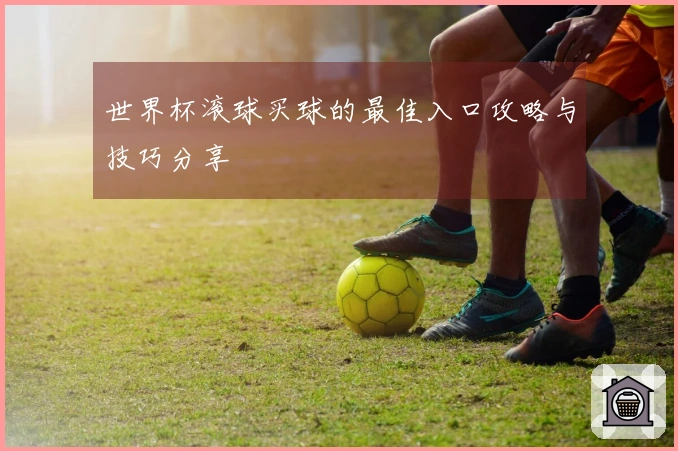世界杯滚球买球的最佳入口攻略与技巧分享