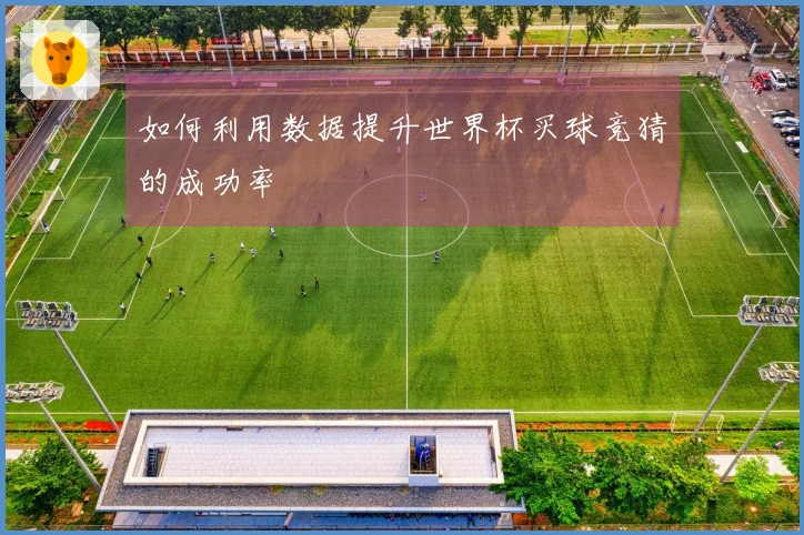 如何利用数据提升世界杯买球竞猜的成功率