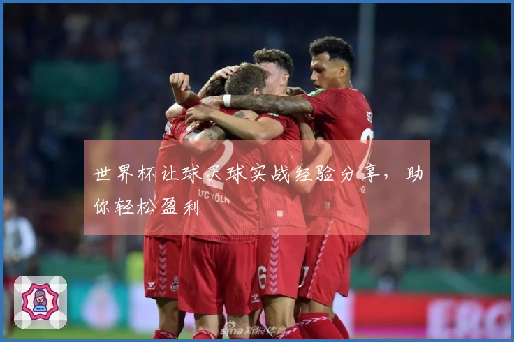 世界杯让球买球实战经验分享，助你轻松盈利