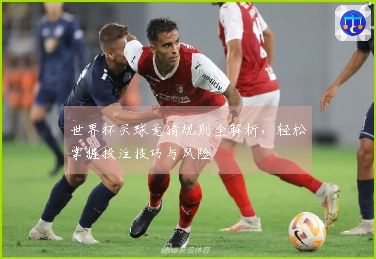 世界杯买球竞猜规则全解析，轻松掌握投注技巧与风险