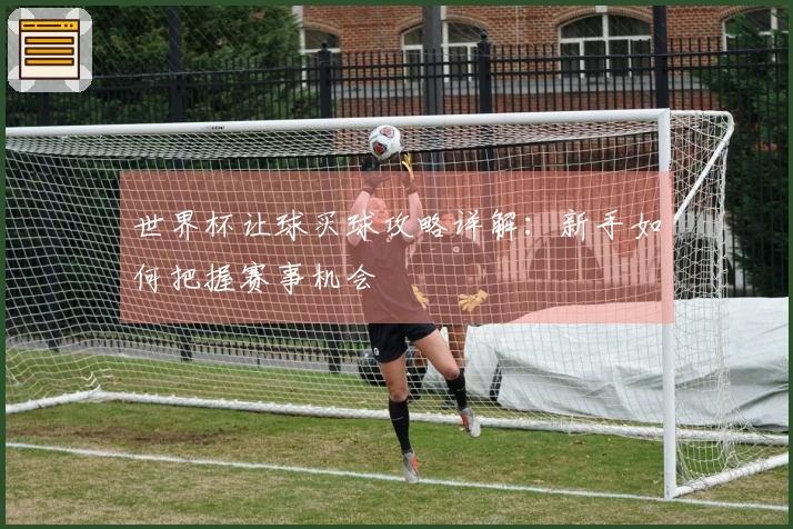 世界杯让球买球攻略详解：新手如何把握赛事机会