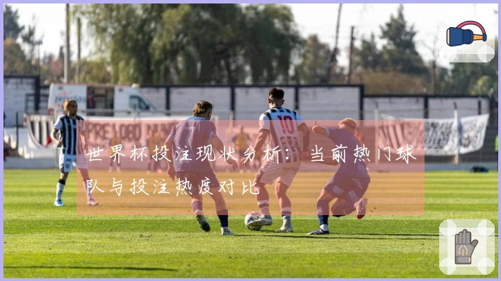 世界杯投注现状分析：当前热门球队与投注热度对比