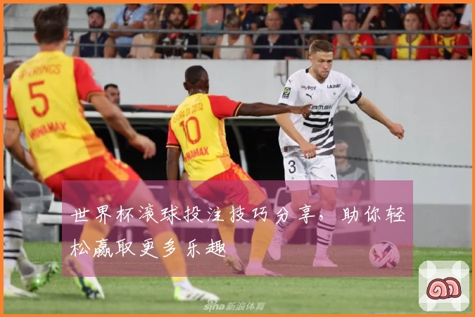 世界杯滚球投注技巧分享，助你轻松赢取更多乐趣
