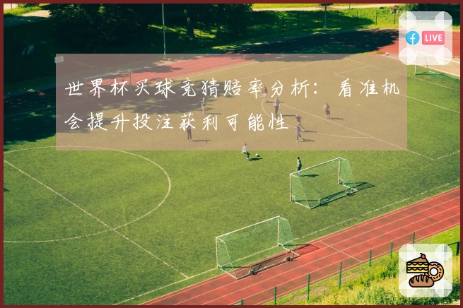 世界杯买球竞猜赔率分析：看准机会提升投注获利可能性
