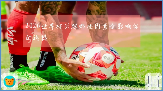 2026世界杯买球哪些因素会影响你的选择