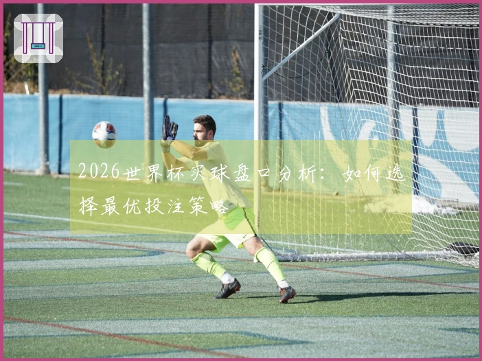 2026世界杯买球盘口分析:如何选择最优投注策略