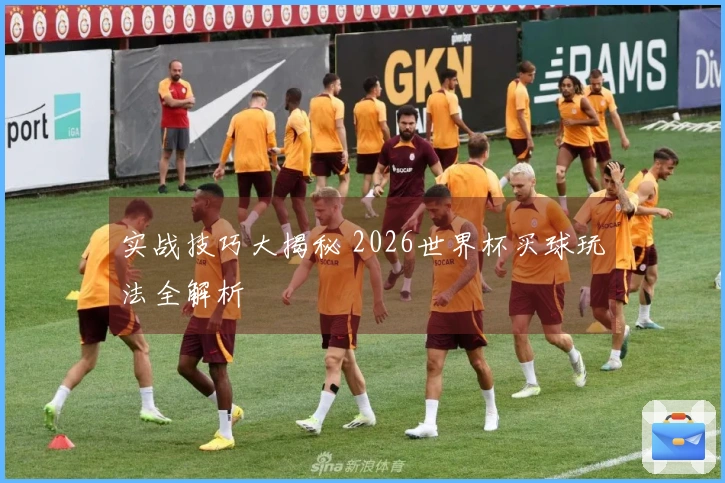 实战技巧大揭秘 2026世界杯买球玩法全解析