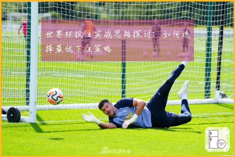 世界杯投注实战思路探讨：如何选择最优下注策略