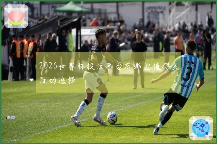 2026世界杯投注平台有哪些值得关注的选择