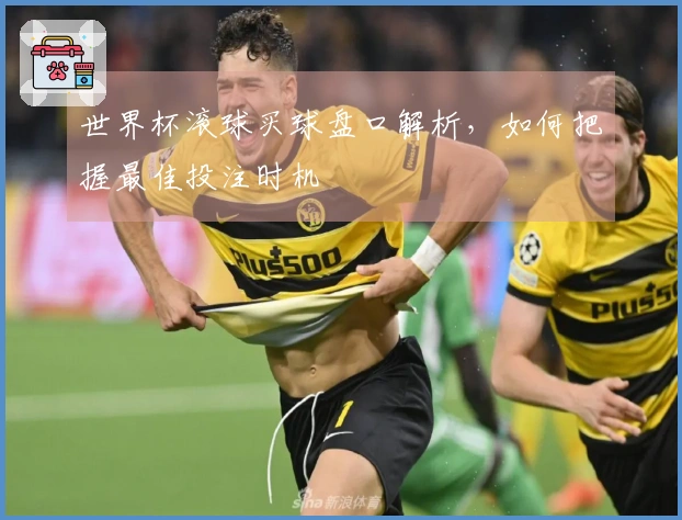 世界杯滚球买球盘口解析，如何把握最佳投注时机