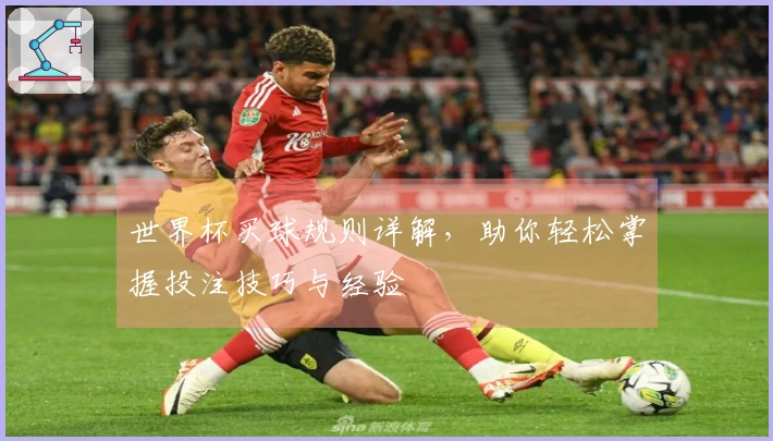 世界杯买球规则详解，助你轻松掌握投注技巧与经验