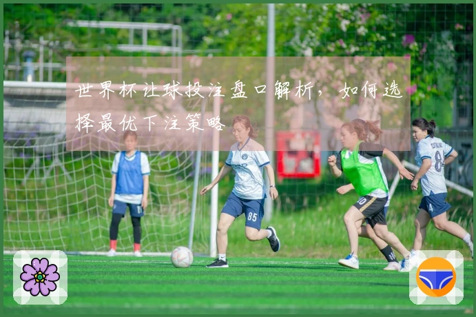 世界杯让球投注盘口解析，如何选择最优下注策略