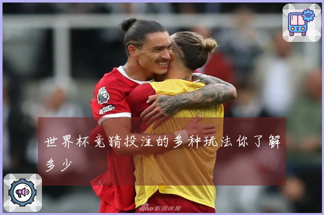 世界杯竞猜投注的多种玩法你了解多少