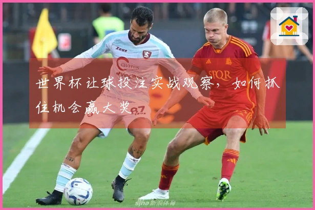 世界杯让球投注实战观察,如何抓住机会赢大奖