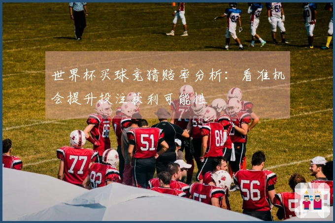 世界杯买球竞猜赔率分析：看准机会提升投注获利可能性
