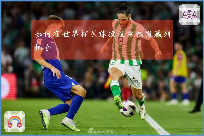 如何在世界杯买球投注中找准赢利机会