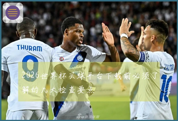 2026世界杯买球平台下载前必须了解的几大检查要点