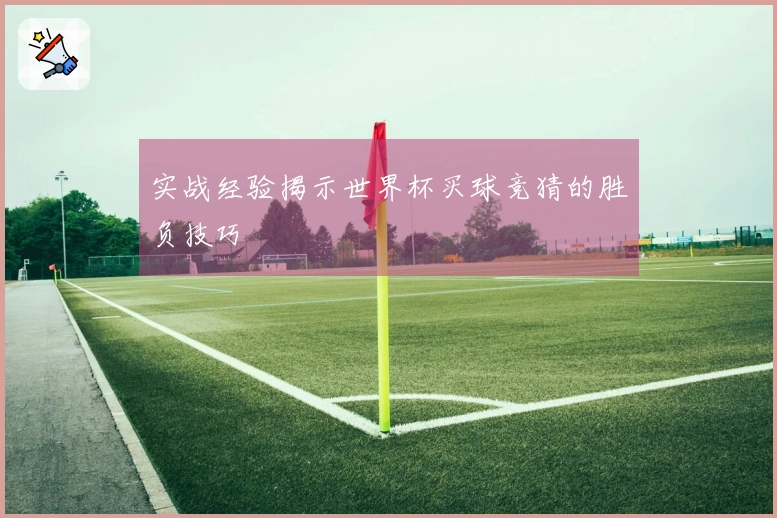 实战经验揭示世界杯买球竞猜的胜负技巧
