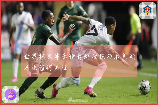 世界杯买球竞猜有哪些技巧和判断方法值得关注
