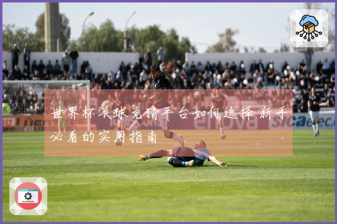 世界杯滚球竞猜平台如何选择 新手必看的实用指南