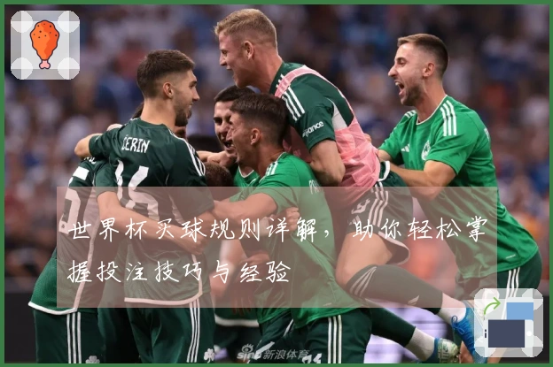 世界杯买球规则详解，助你轻松掌握投注技巧与经验