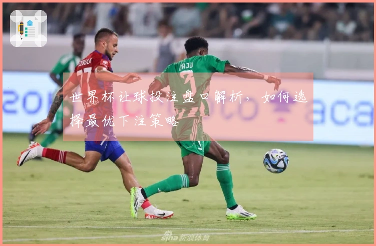 世界杯让球投注盘口解析，如何选择最优下注策略