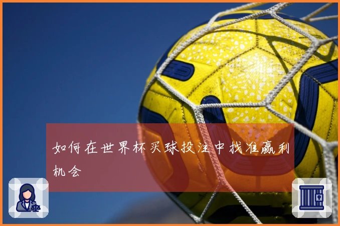 如何在世界杯买球投注中找准赢利机会